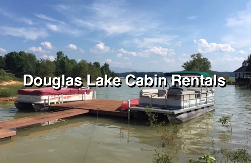 Douglas Lake Cabins